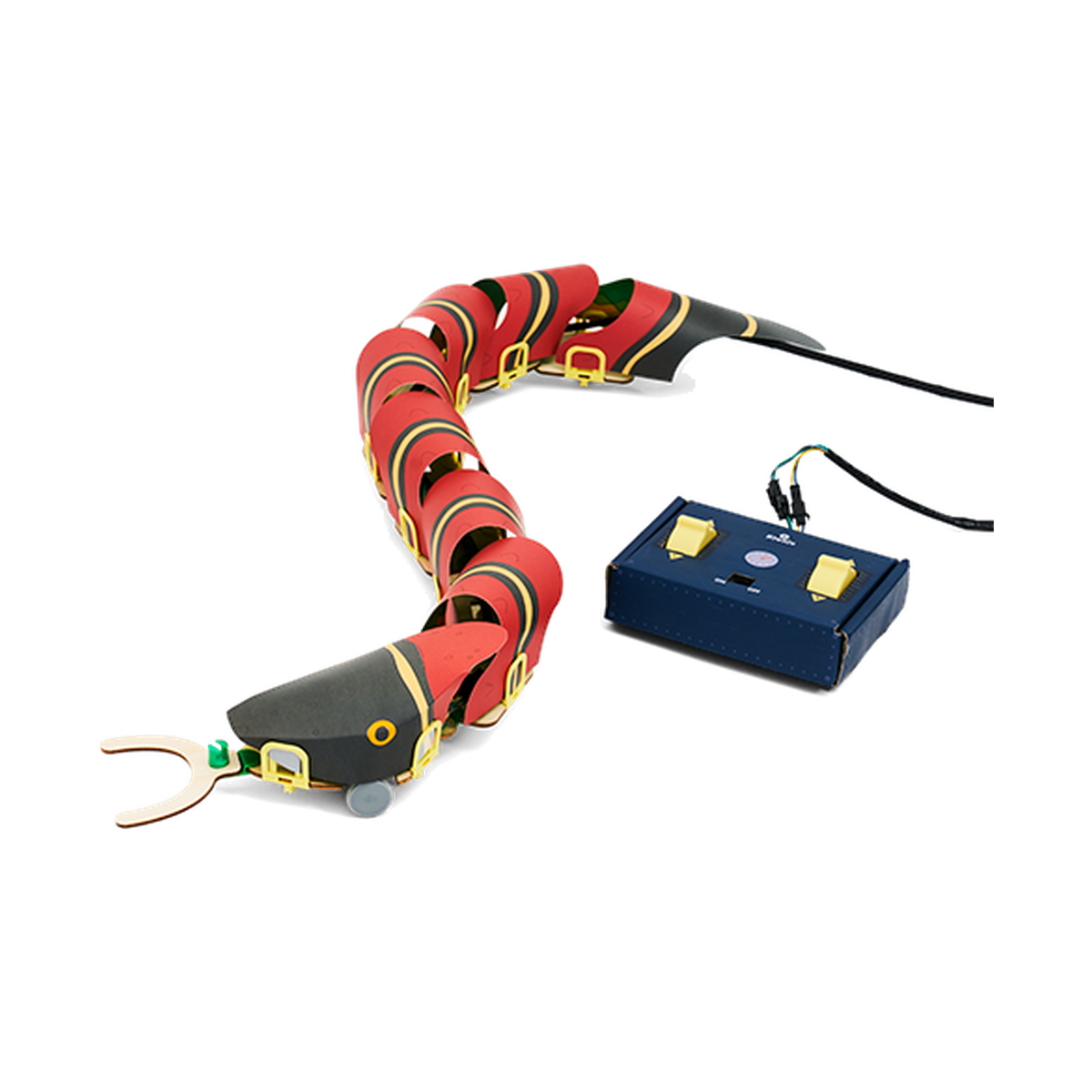 KiwiCo Remote-Controlled Snake Robot, built snake with remote