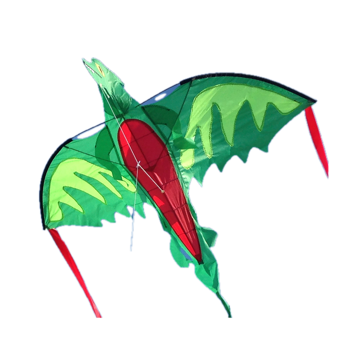 Melissa & Doug Winged Dragon Shaped Kite, kite from below