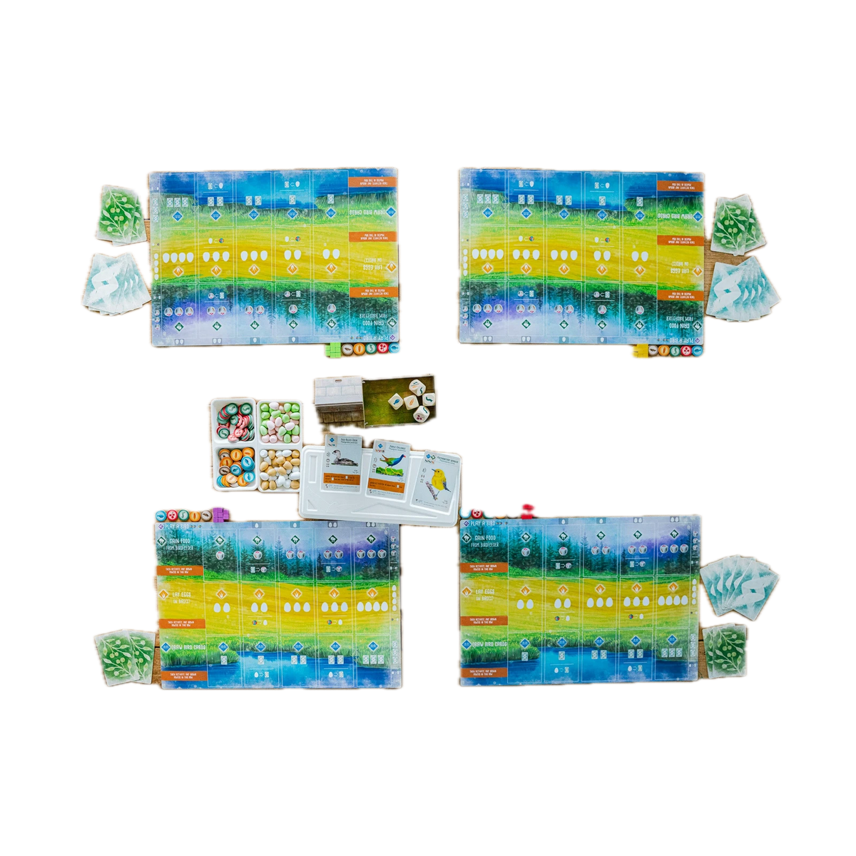 Stonemaier Games Wingspan, full table setup from above